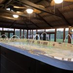 Indoor whirlpool with water jets under a wooden roof, surrounded by windows and a view of greenery outside.