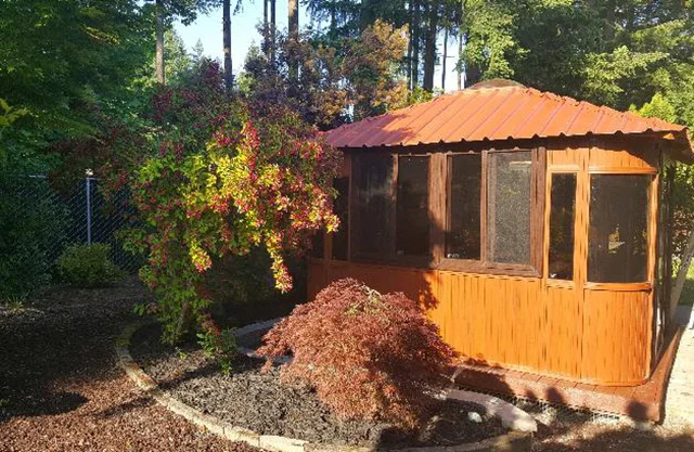 Wooden gazebo in a sunny garden surrounded by trees and colorful shrubs.